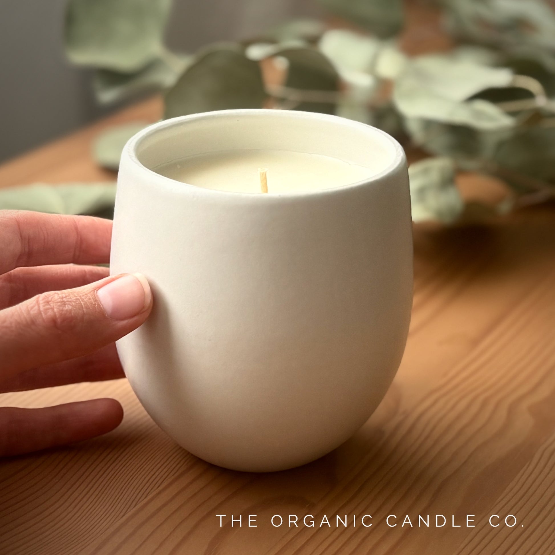 White organic candle in a ceramic container, held by a hand on a wooden surface with green leaves in the background. Brand 'The Organic Candle Co.