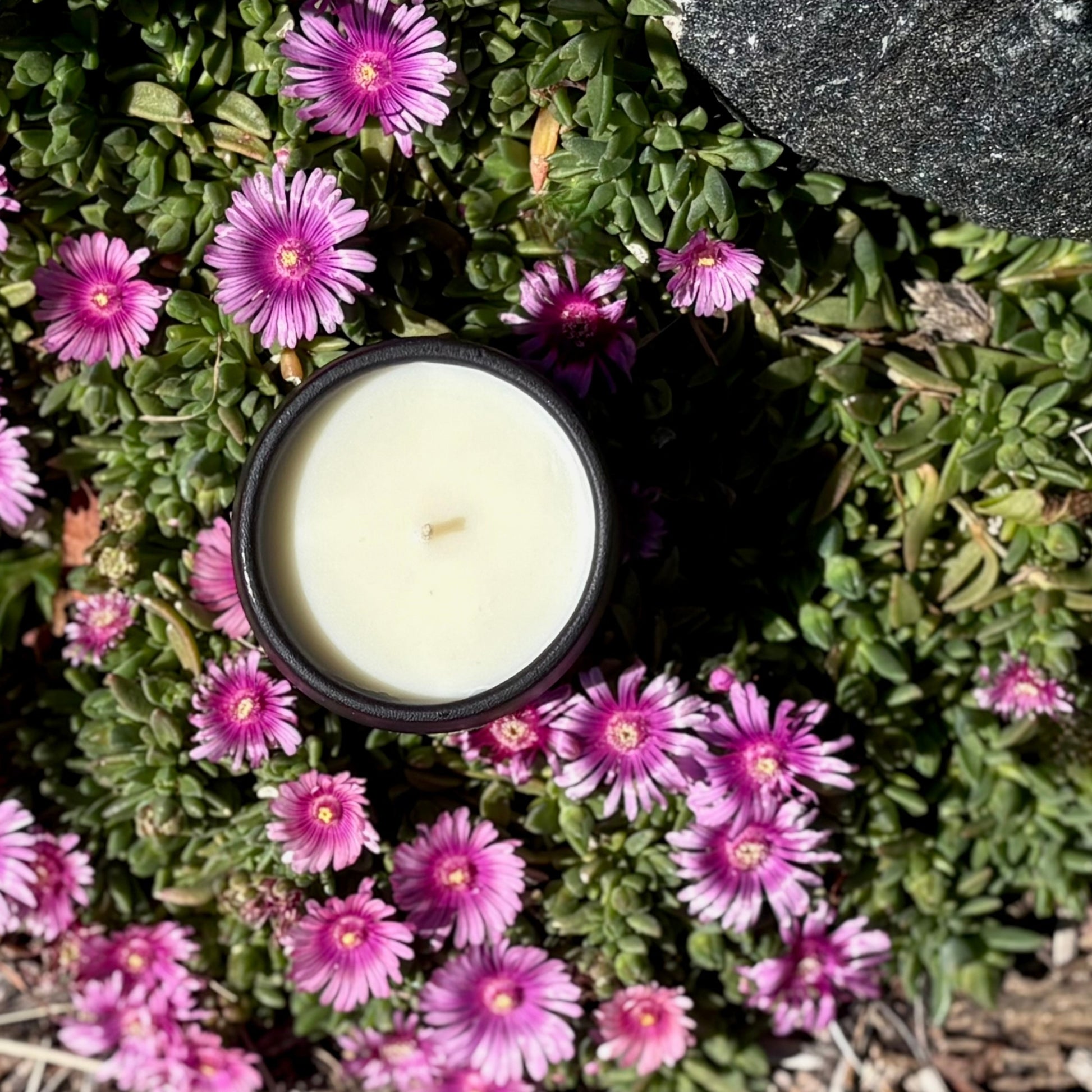 Organic candle in black ceramic laying in a bed of magenta flowers