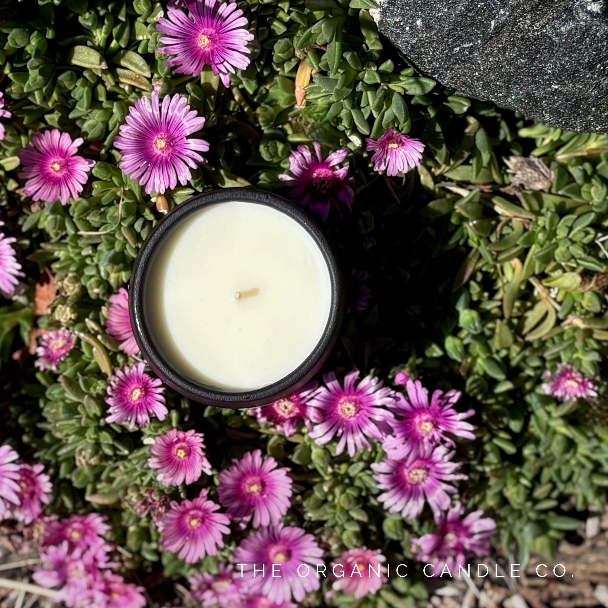 Organic candle in black ceramic vessel surrounded by pink flowers with 'The Organic Candle Co' branding.