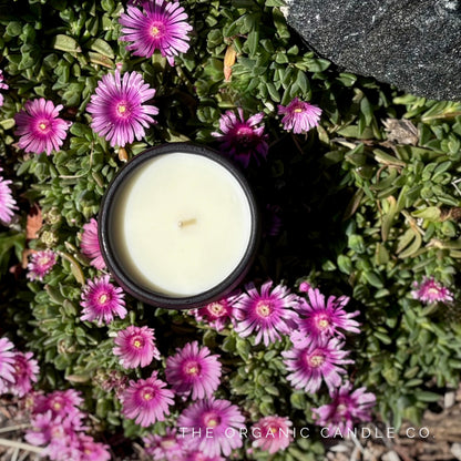 Organic candle in black ceramic vessel surrounded by pink flowers with 'The Organic Candle Co' branding.